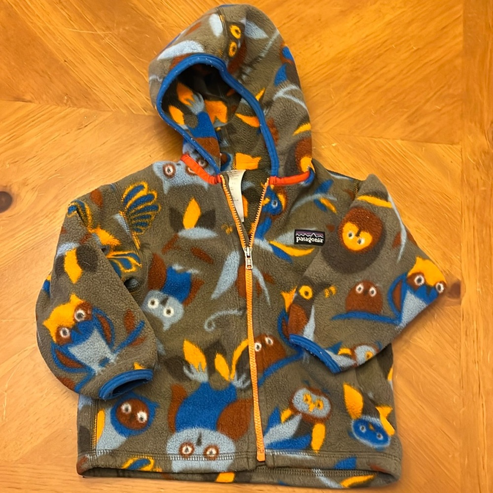 Patagonia Synchilla Fleece